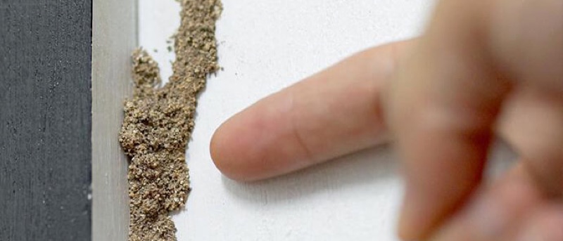 Termite mud tube on home wall — Revamped Pest Management performs Arizona termite inspections